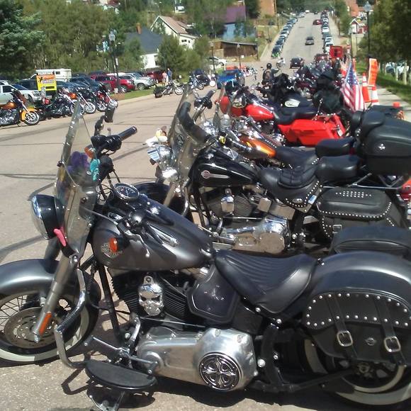 Meet your Posher, Dawn - Picture 1 of 1